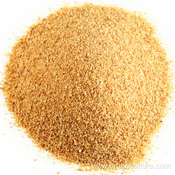 Dehydrated Best Withoutroot Garlic Granules Bulk